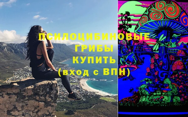 спиды Корсаков